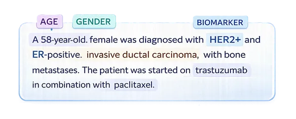Oncology NLP Models